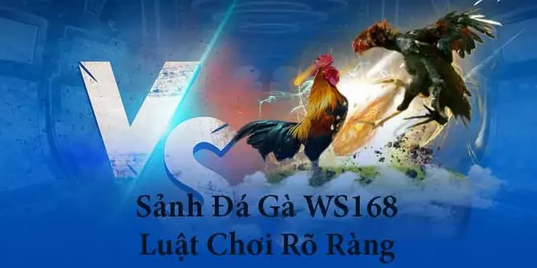 Hướng Dẫn Cách Chơi Đá Gà WS168 F8Bet Chinh Phục Mọi Kèo Cược