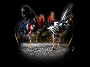 Cách Chơi Đá Gà Sabong Tại F8Bet Chinh Phục Đấu Trường Quốc Tế