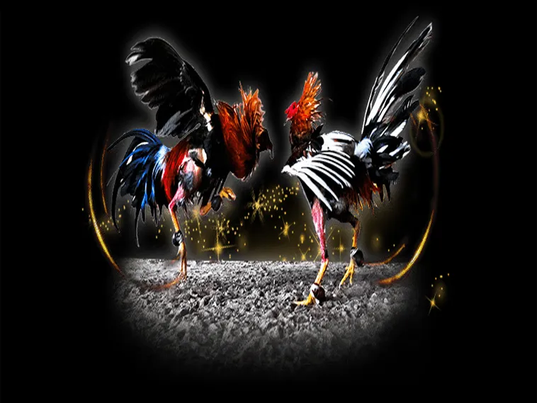 Cách Chơi Đá Gà Sabong Tại F8Bet Chinh Phục Đấu Trường Quốc Tế 1 Cách Chơi Đá Gà Sabong Tại F8Bet Chinh Phục Đấu Trường Quốc Tế