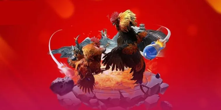 Đá Gà F8Bet Đấu Trường Rực Lửa Cho Kê Thủ Chuyên Nghiệp